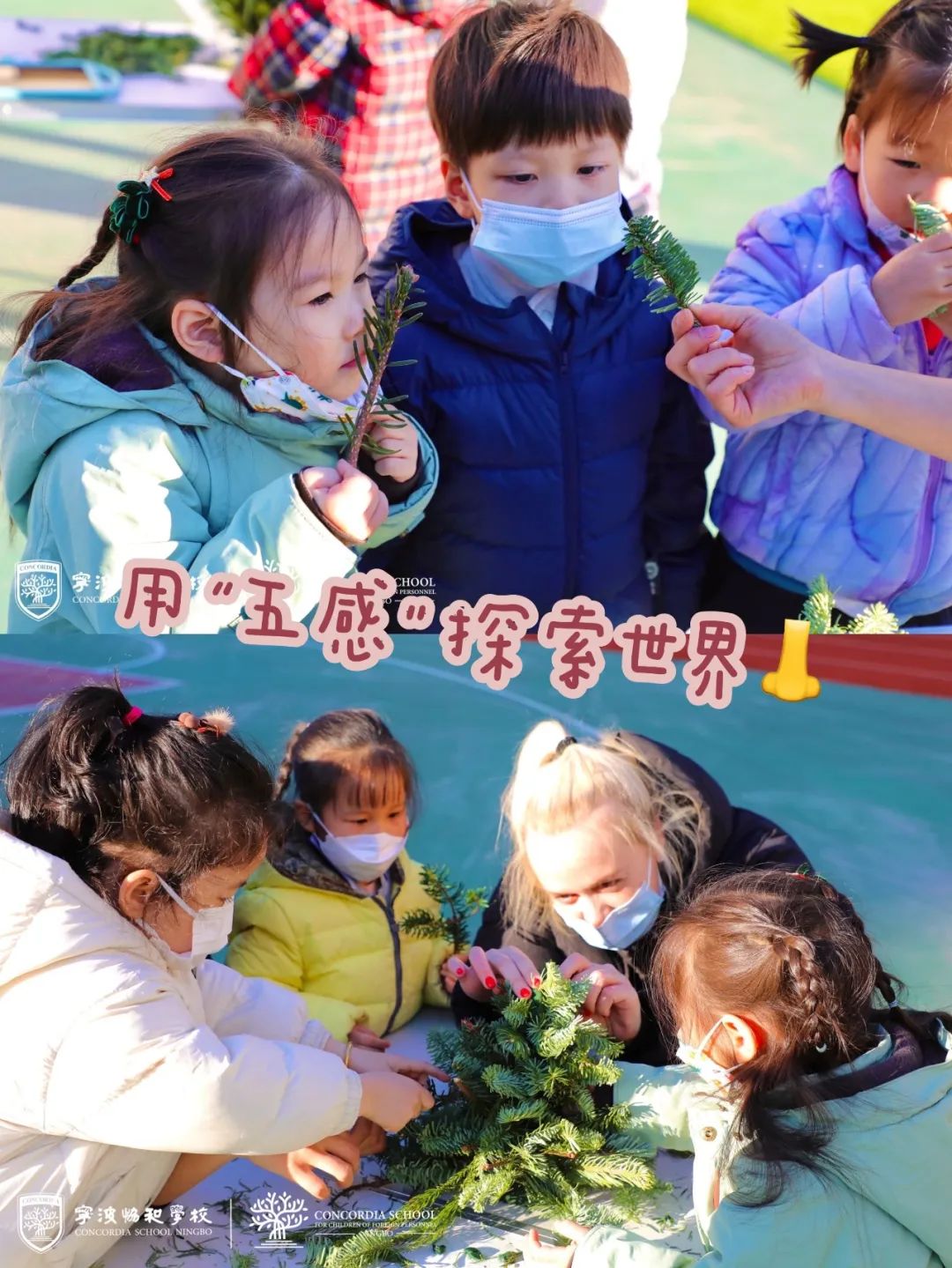 微信图片_20230116140716.jpg