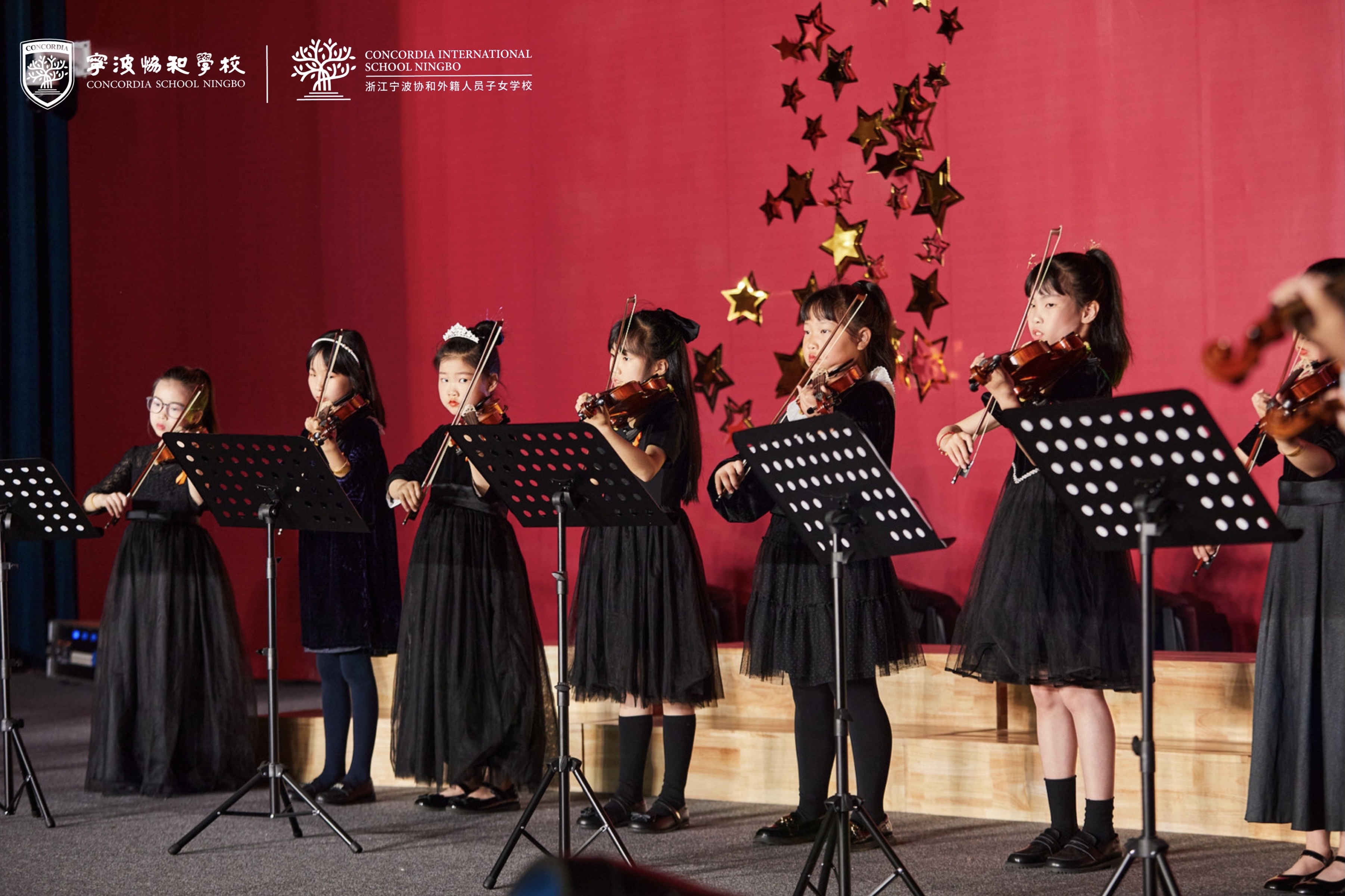 5d345741-7f28-44b0-bcf3-509dd67eafe8.jpg